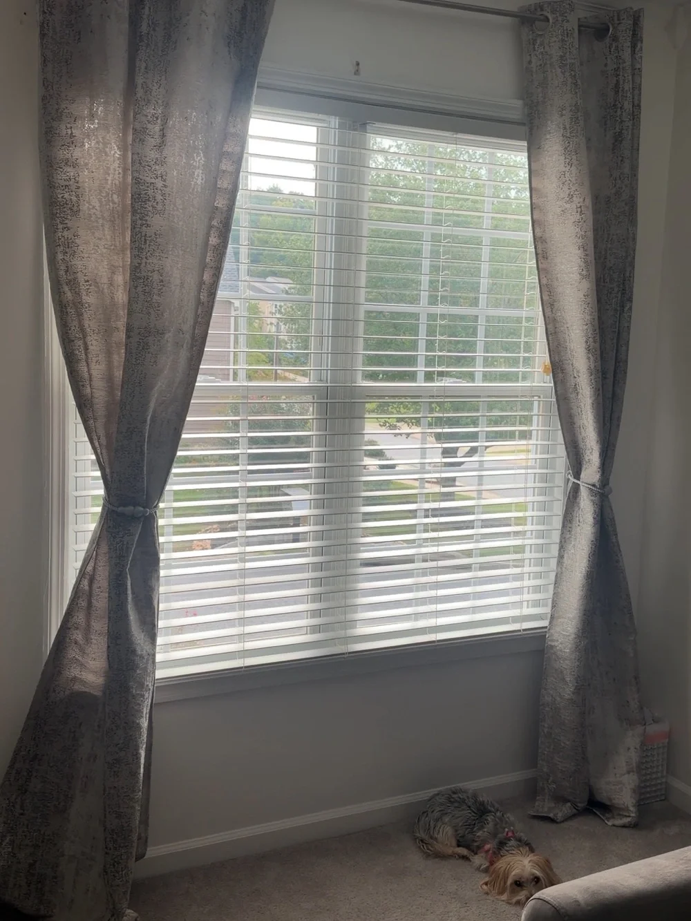 Elegant Silver-Tone Window Curtains -